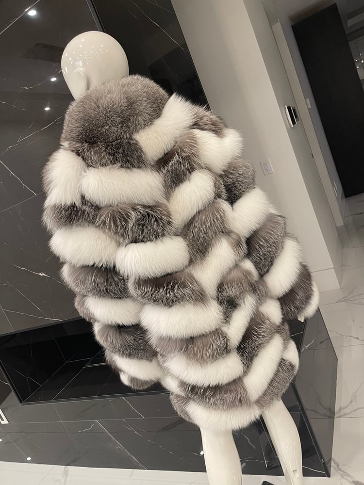 Venus 2025 white coat