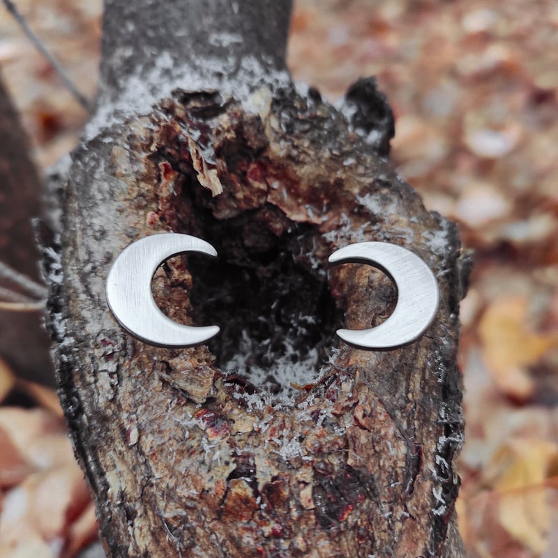 Pin set: Pair of Crescents