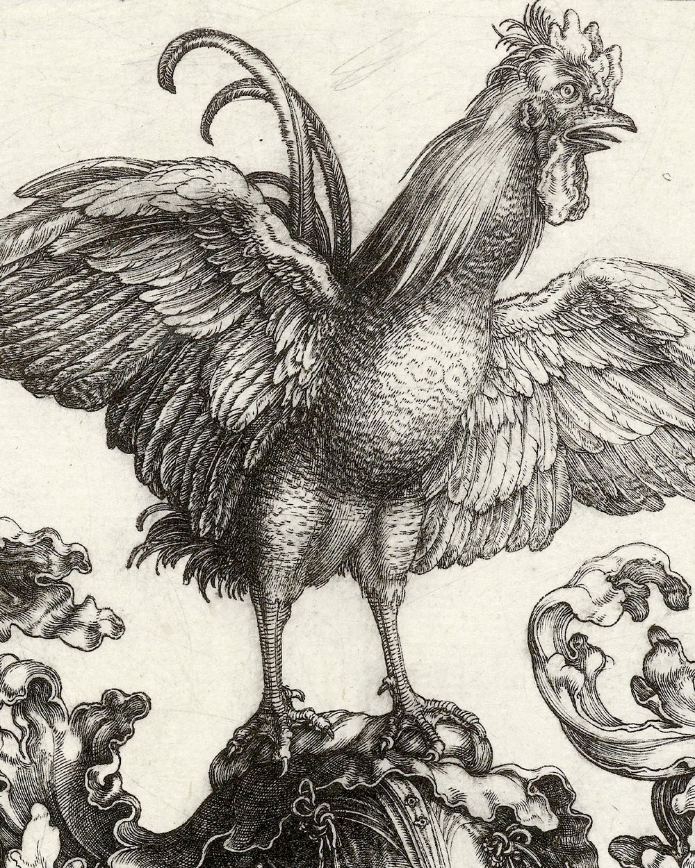 ''Coat of arms with rooster'' (1500 - 1505)