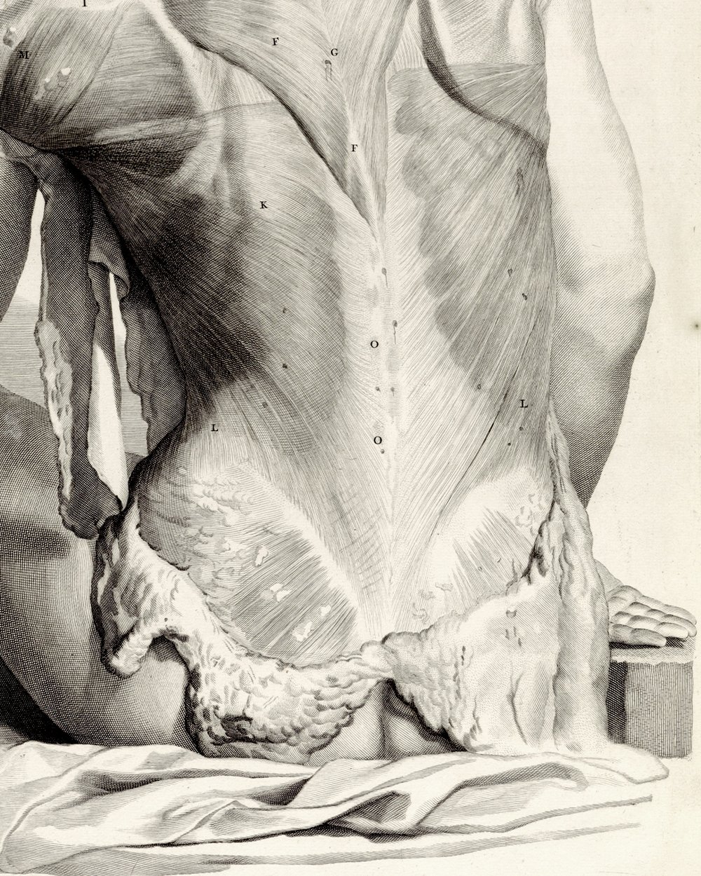 "Anatomical study of a woman's back" (1685)