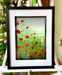 Image 4 of 'Poppy Meadow''