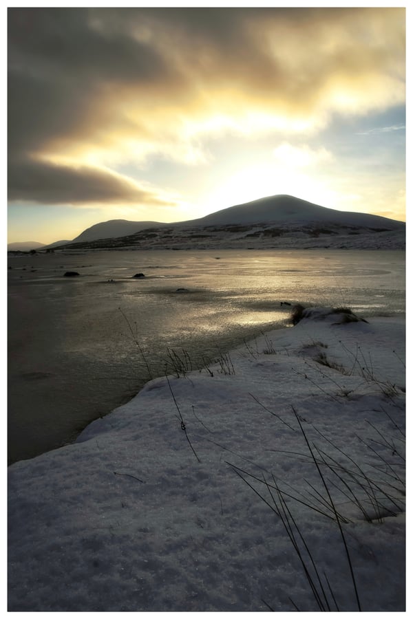 Image of Winter Sun