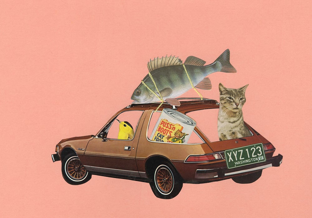 Image of Wilson adopts a cat. Limited edition collage print.
