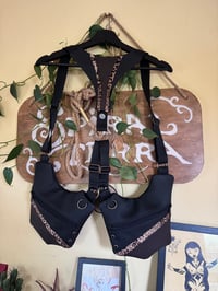 Image 1 of Black Leo Holsterbag