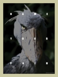 NAME YOUR PAIN POSTER