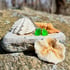 Sea Glass Studs Image 3