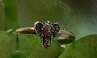 Image 2 of Elephant Ring