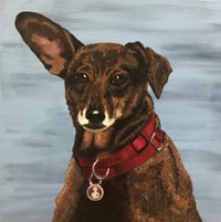 Image 5 of Custom Pet Portrait  - Acrylic on Stretched Canvas