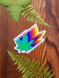 Rainbow Cannabis Sticker