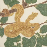 Image 4 of Eyelash pit viper art card