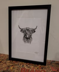 Highland Cow - A4 framed edition