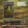 MORBIFIC- SQUIRM BEYOND THE MORTAL REALM