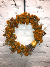 Merry-Gold, Large