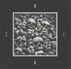 Mz. 412* / Trepaneringsritualen – X Post Industriale Rituals 2015 e.v CD
