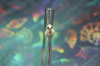 Image 3 of 11" Sale Straws