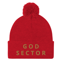 Image 1 of God Sector | Pom-Pom Beanie