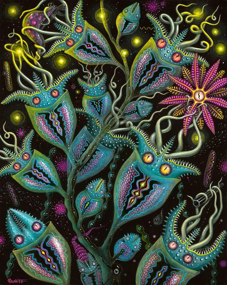 Image of CARNIVOROUS v2 • Original framed Painting