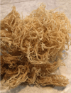 100% Wild Crafted Organic Raw Sea Moss