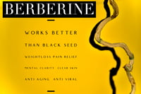 Image 1 of Wildcrafted Berberine Root extract