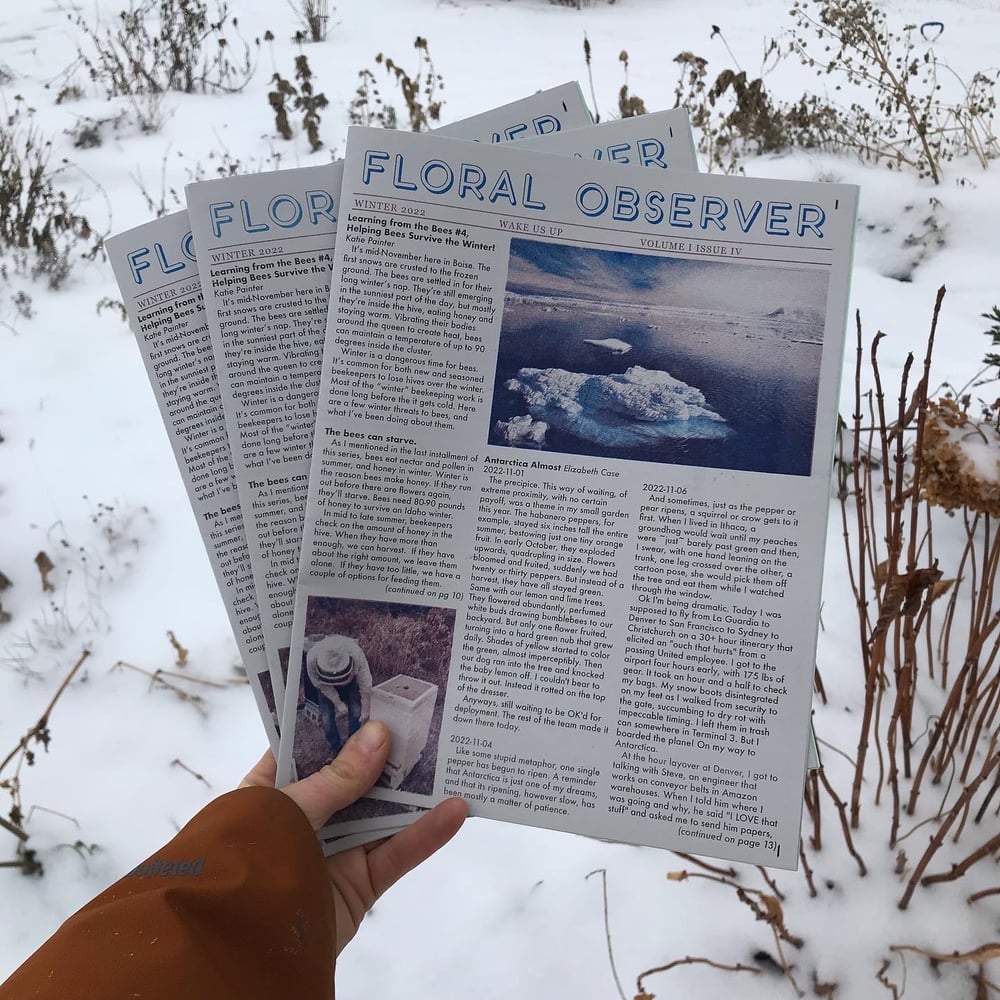  Floral Observer Issue 4: Winter 2022