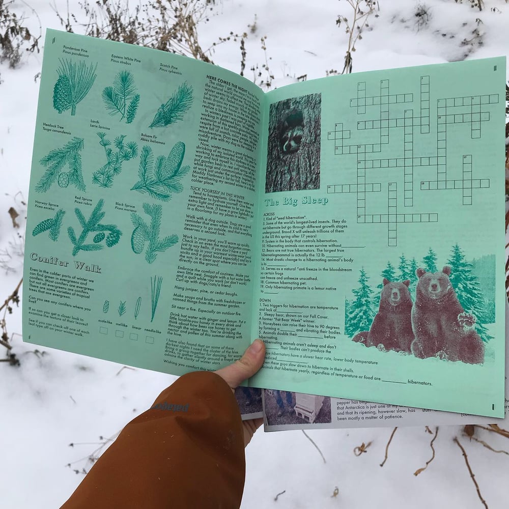  Floral Observer Issue 4: Winter 2022