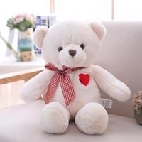 Valentine's Day Teddy Bear