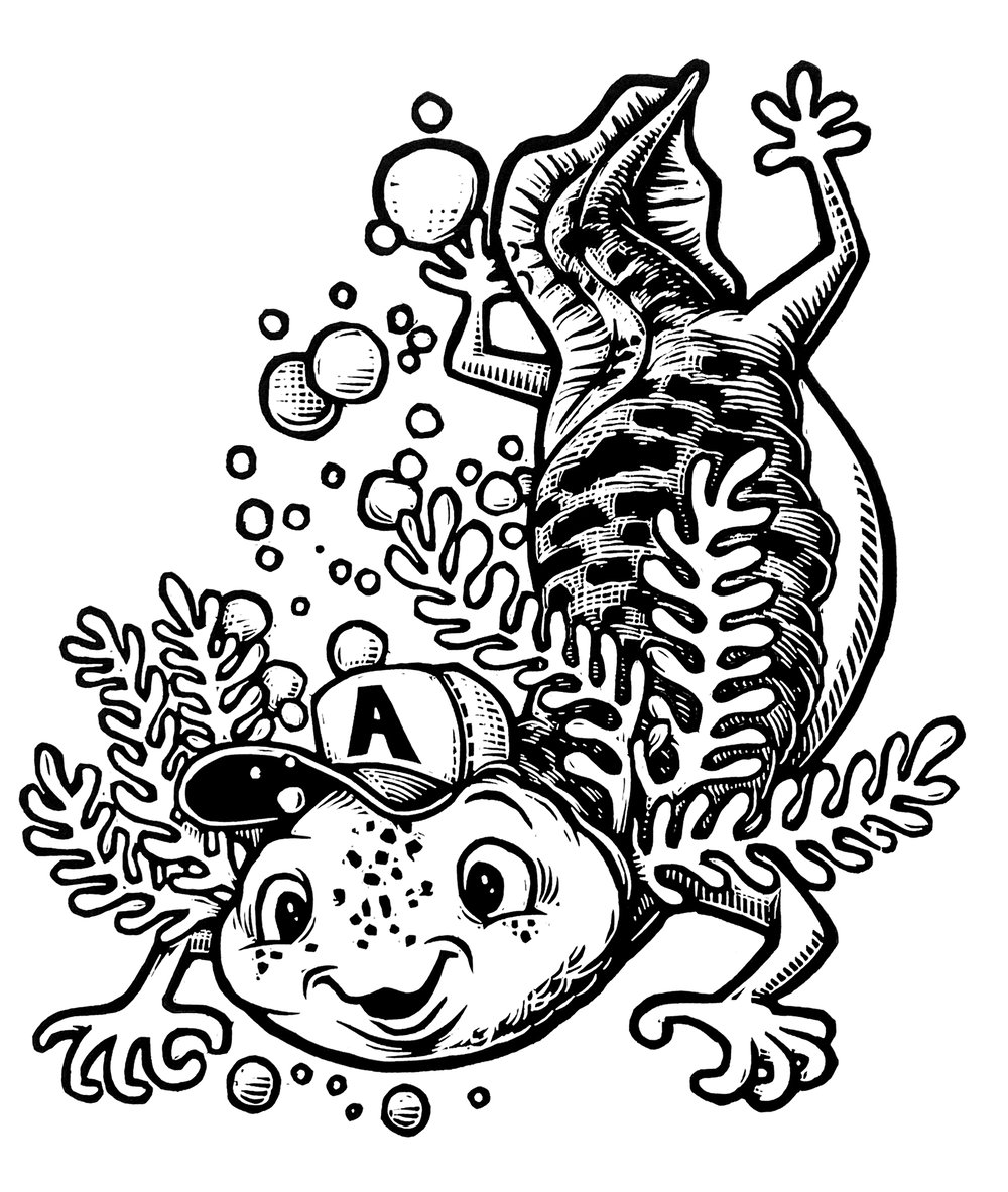 Axolotl T-shirt (A1) **FREE SHIPPING**