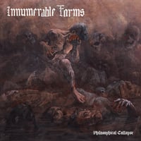 Image 1 of INNUMERABLE FORMS - Philosophical Collapse LP