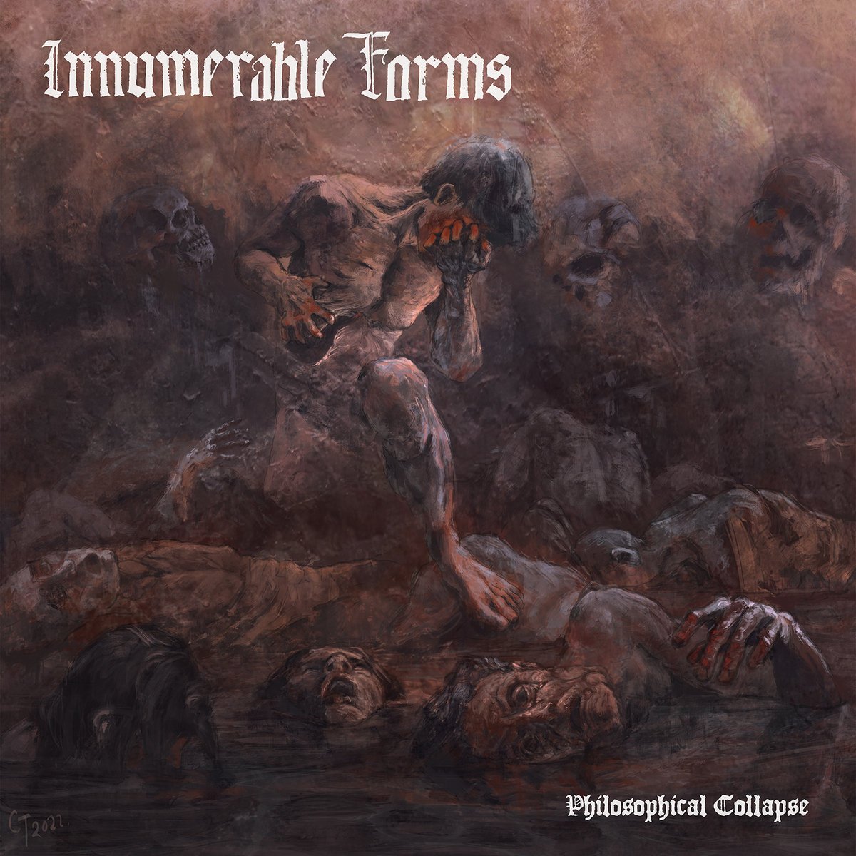 Image of INNUMERABLE FORMS - Philosophical Collapse LP