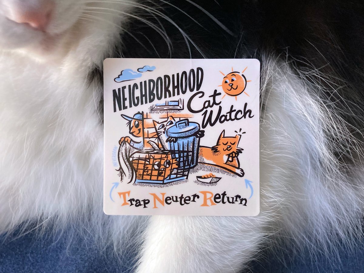 Neighborhood Cats, How to TNR