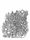PRINT POSTAL SHIRO ECO (VERANO)