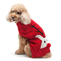 Image 1 of Rudolph the red nosed reindeer - Sweater