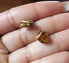 Tiger's eye brass studs 