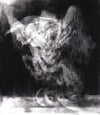 sorph (4x5, 8x10, 11x14, or 13x16 inches) fine art print