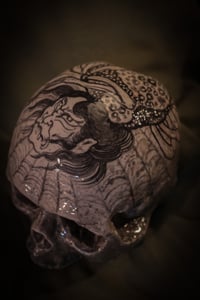 Image 1 of Tsuchigumo Skull