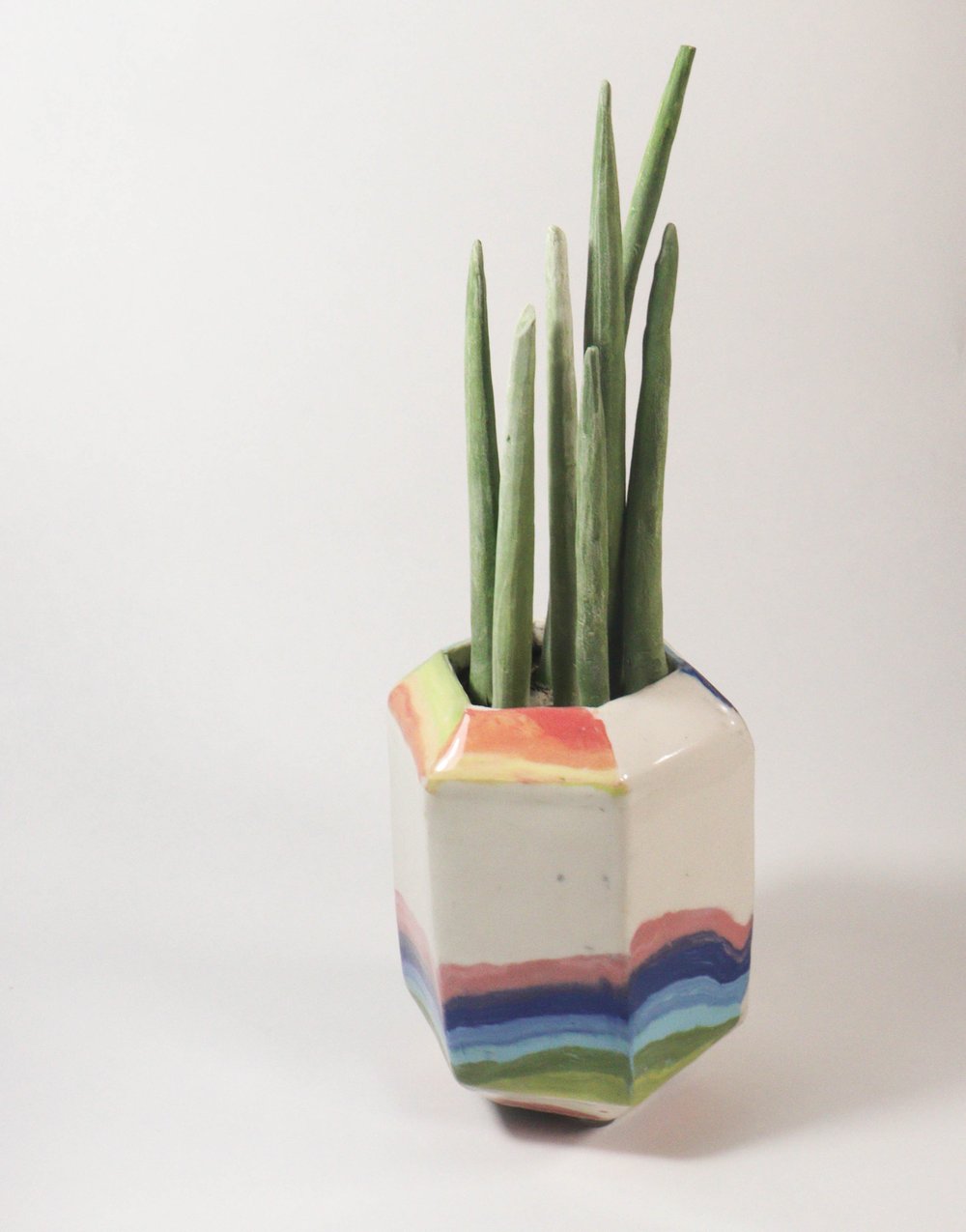 Image of Rainbow Hexagonal Plant Sculpture