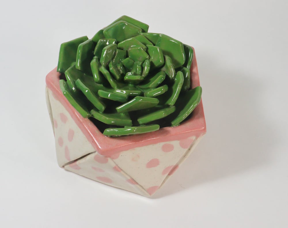 Image of Pink Polkadot Ceramic Succulent Sculpture 