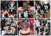 Other Designs (JJK, AOT, TGCF): In-Stock