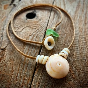 Image of Hawaiian honey spiral puka shell necklace