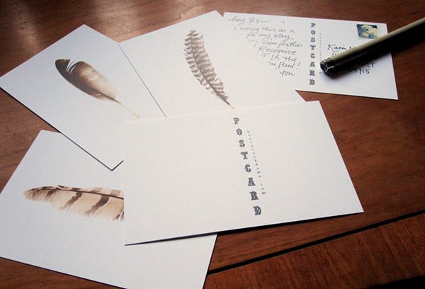 Image of Feather Postcard Set