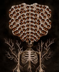 "TREEPOPHOBIA"