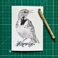Image 1 of Western Meadowlark Greeting Card