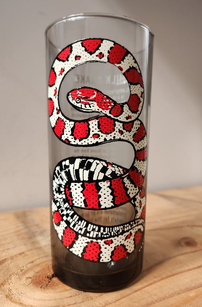 Image of Milk Snake ðŸ�� 