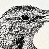 Image 2 of Western Meadowlark Print