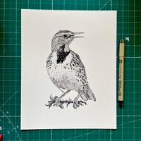 Image 1 of Western Meadowlark Print