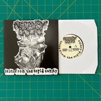 Image 3 of NECROPSY ODOR "Tales from the Tepid Cavity" 7"