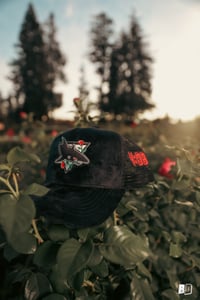 Image 3 of Rose Shark Suede Trucker Hat 