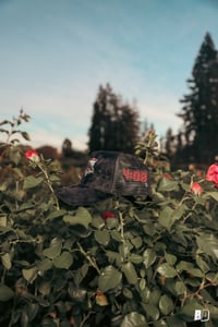 Image 4 of Rose Shark Suede Trucker Hat 