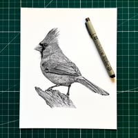 Image 1 of Northern Cardinal Print