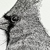 Image 3 of Northern Cardinal Print